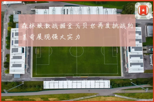 森林狼激战掘金戈贝尔再度挑战约基奇展现强大实力